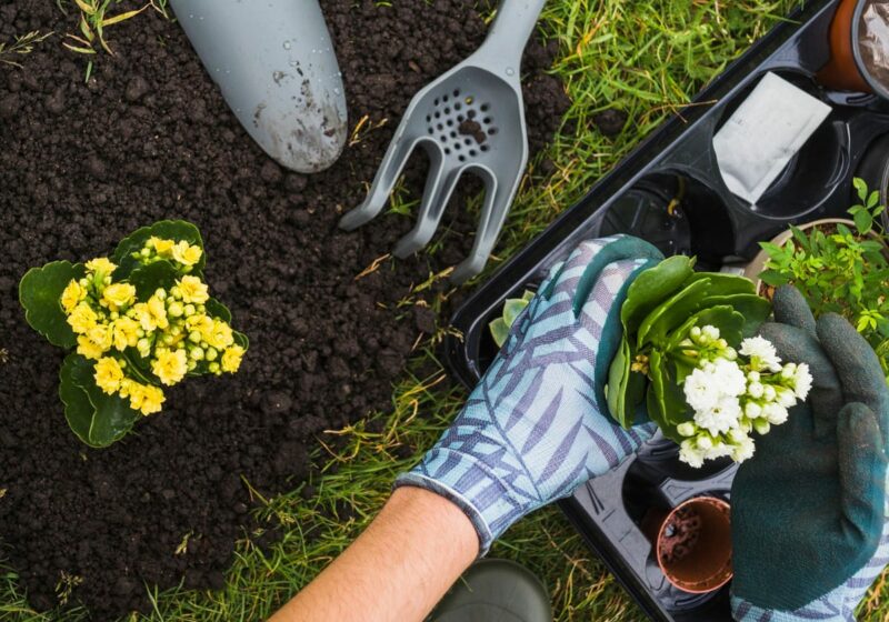 We Won The Best Indoor Planets Design Company