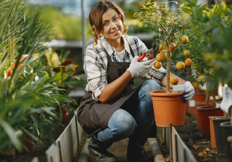 3 Important Reasons to Build A Home with Planet