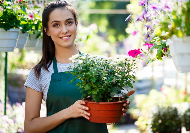 Transplanting Seedlings While May Moves