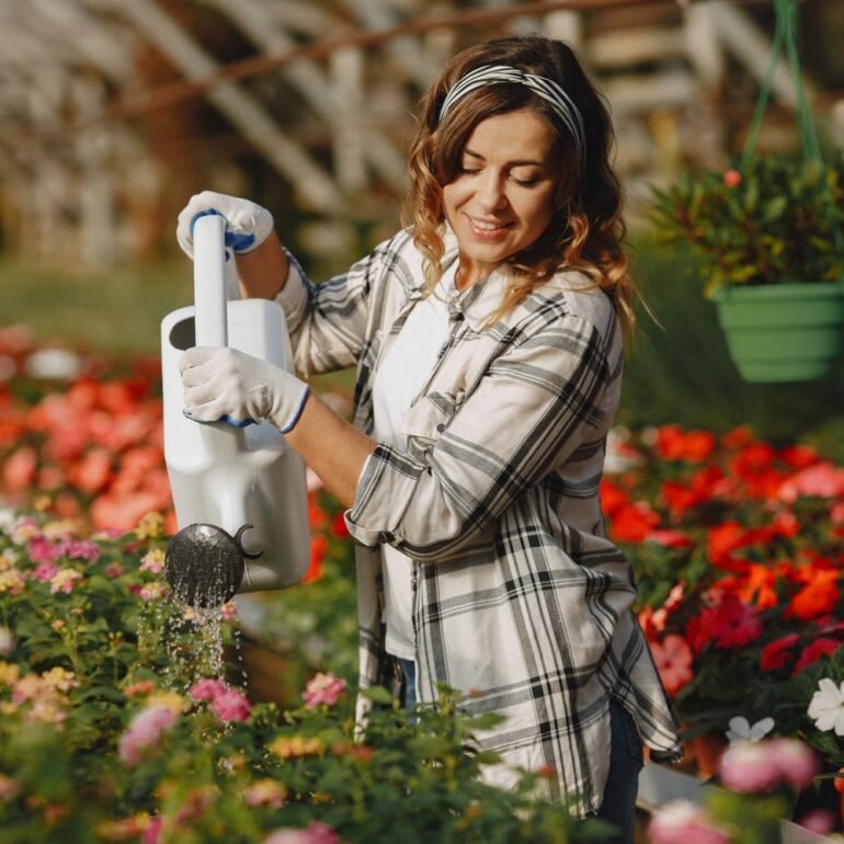 Water it appropriately