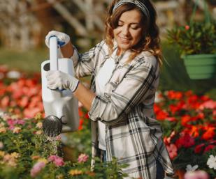 Water it appropriately