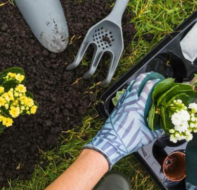 We Won The Best Indoor Planets Design Company