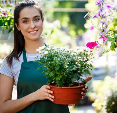 Transplanting Seedlings While May Moves