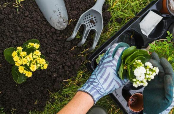 We Won The Best Indoor Planets Design Company