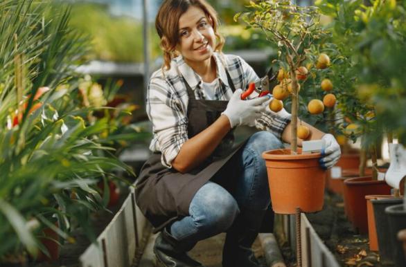 3 Important Reasons to Build A Home with Planet