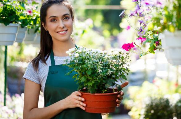 Transplanting Seedlings While May Moves
